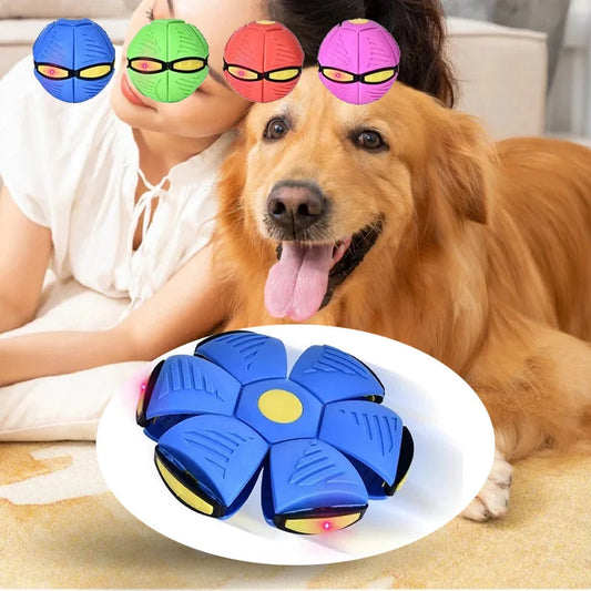 Pet Dog Toys Flying Saucer Ball Magic